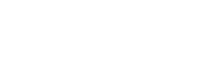 mirjana mikulec logo12
